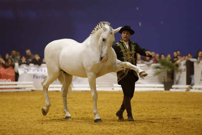 Campeón del Concurso de Exhibiciones, PARMESANO III con la exhibición ‘Duende Ecuestre’