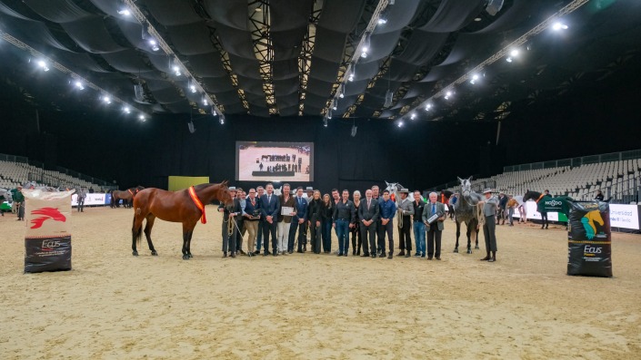 Mejor Ganadería Expositora del Mundo, YEGUADA ZAVI ESP (1)